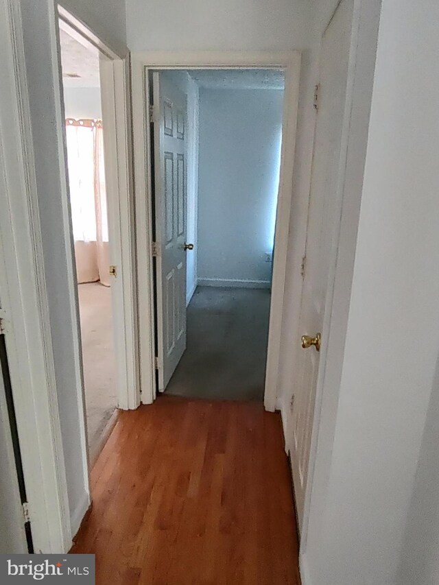 living room with hardwood / wood-style flooring