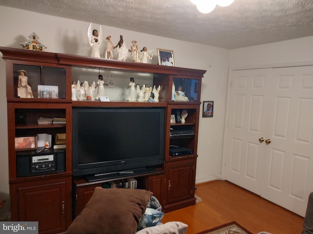 living room featuring light hardwood / wood-style flooring and a textured ceiling