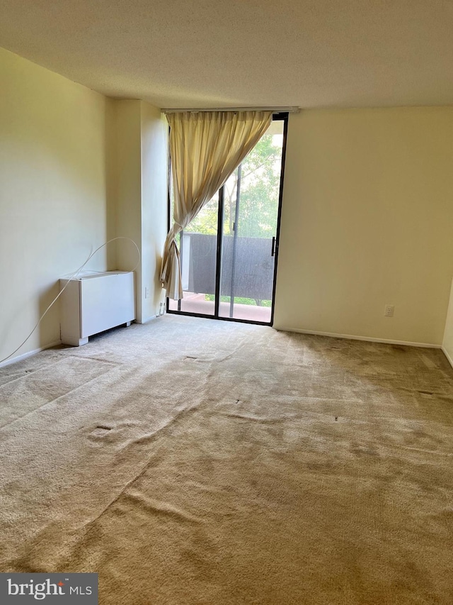 spare room with a textured ceiling and light carpet