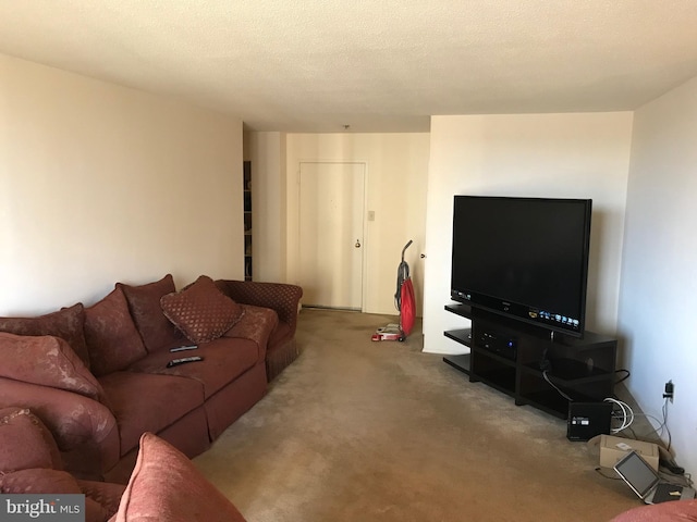 living room with carpet flooring and a textured ceiling