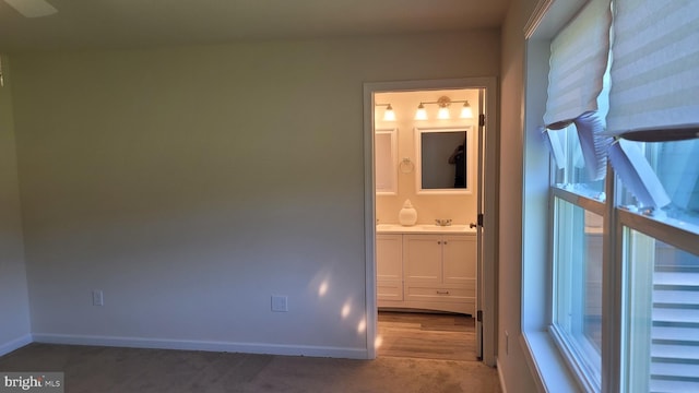 interior space featuring carpet and sink