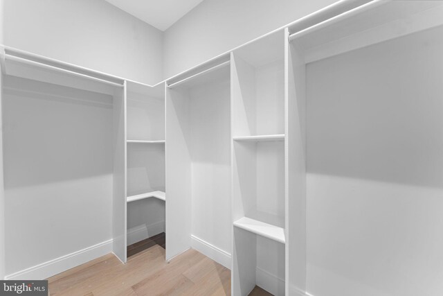 walk in closet with wood-type flooring