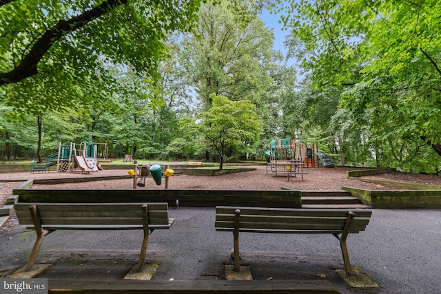 view of jungle gym