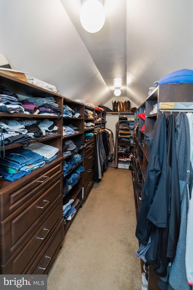 walk in closet featuring vaulted ceiling and light carpet