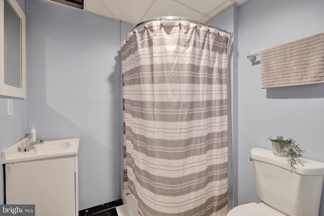 bathroom featuring vanity, toilet, and a shower with curtain