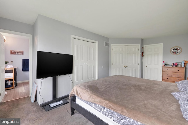 bedroom with multiple closets and carpet floors