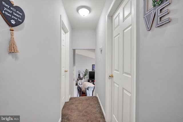 corridor featuring carpet flooring