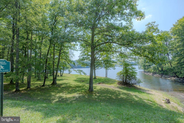 view of yard with a water view