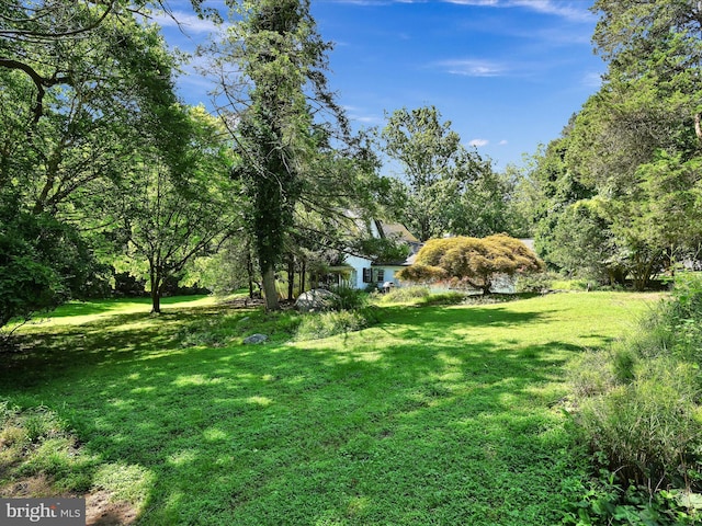 view of yard