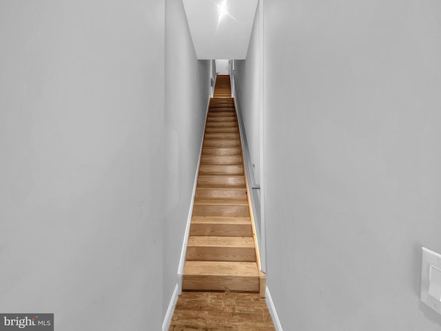 stairway featuring wood-type flooring