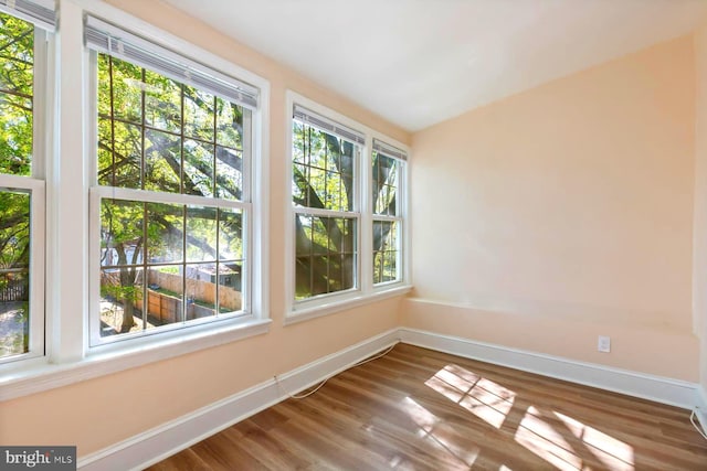 spare room with hardwood / wood-style floors