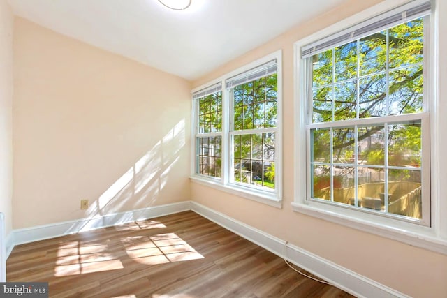 unfurnished room featuring hardwood / wood-style flooring and plenty of natural light