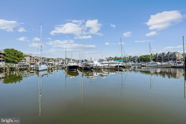 water view featuring a boat dock