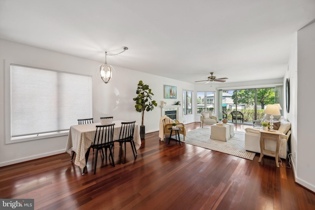 dining room featuring dark wood-type flooring and ceiling fan with notable chandelier