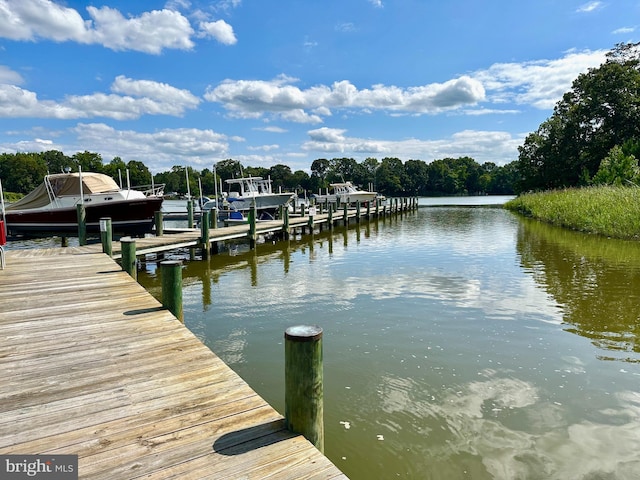 dock area featuring a water view