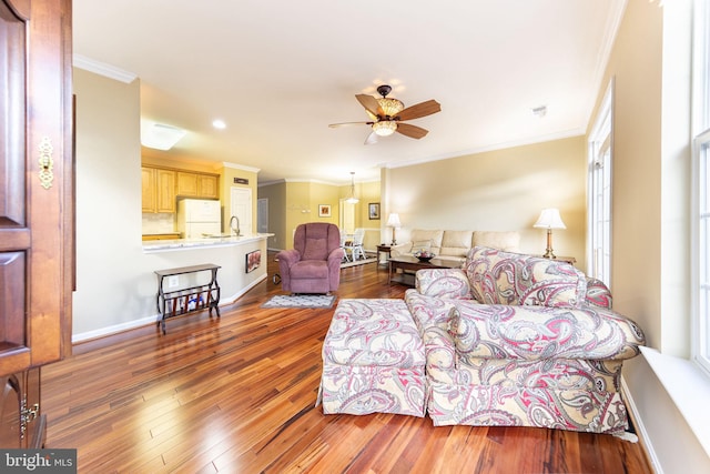 living room featuring wood-type flooring, sink, crown molding, and ceiling fan