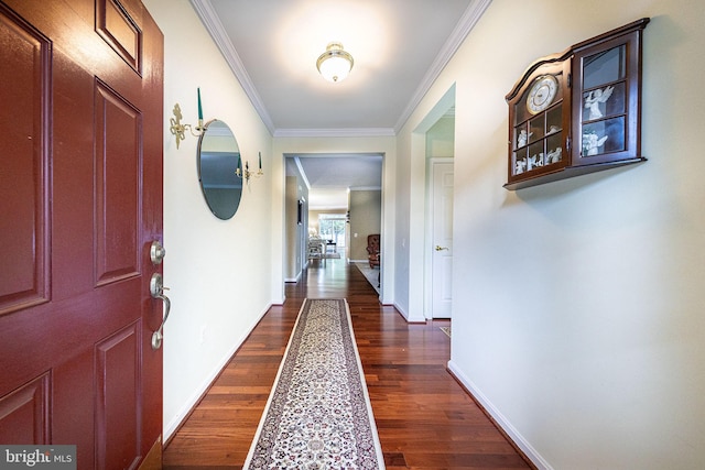 corridor with crown molding and dark hardwood / wood-style flooring