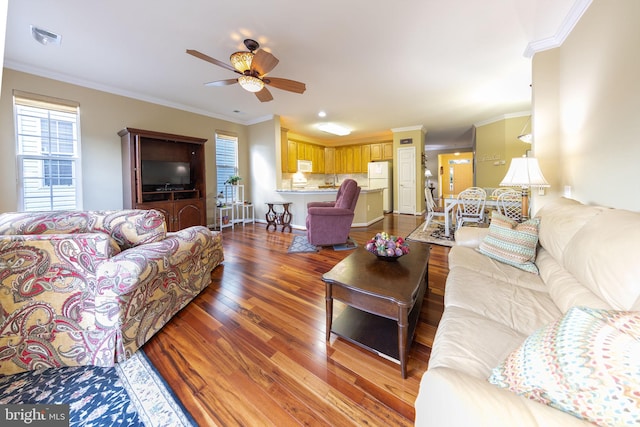 living room with hardwood / wood-style floors, ceiling fan, and crown molding