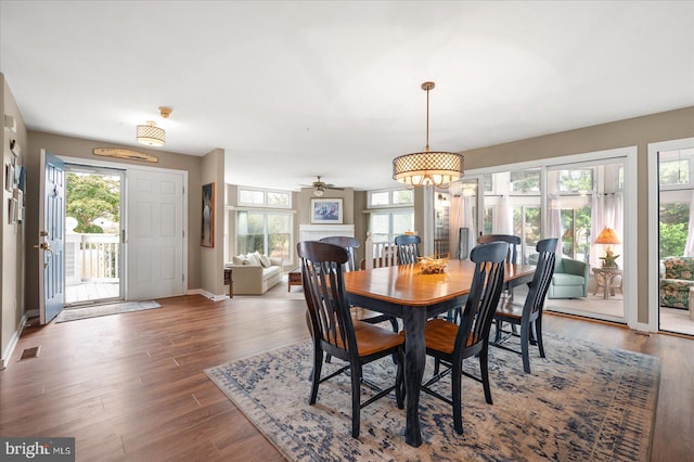 dining area with ceiling fan with notable chandelier, dark wood-type flooring, and a wealth of natural light