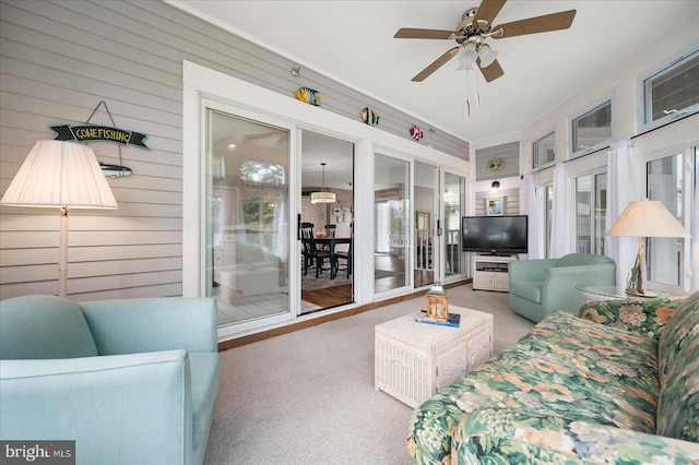 living room with a wealth of natural light, carpet, ceiling fan, and wooden walls