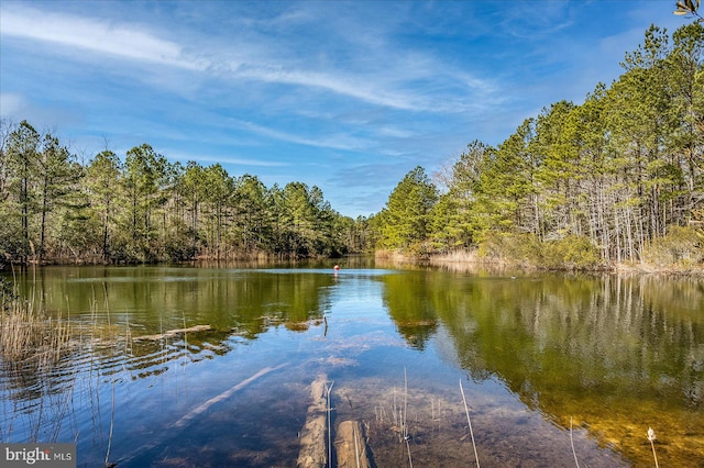 property view of water