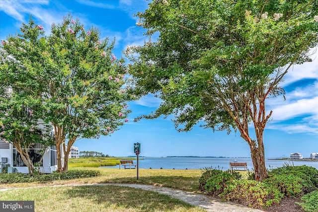 view of community with a lawn and a water view