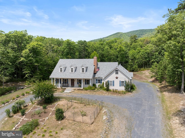 view of cape cod-style house