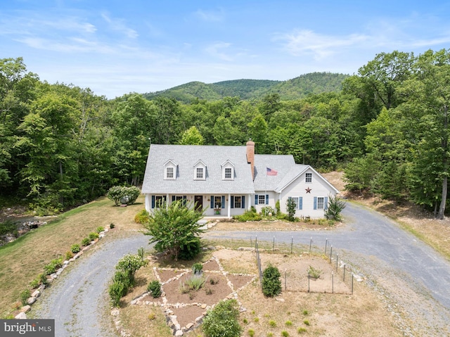 view of cape cod-style house