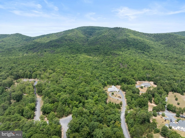 bird's eye view with a mountain view