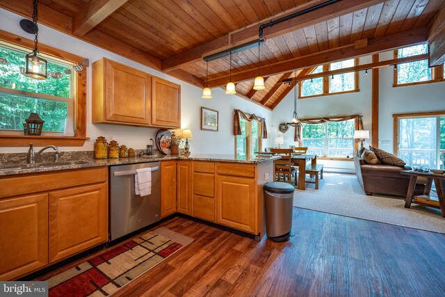 kitchen featuring plenty of natural light, dark hardwood / wood-style flooring, kitchen peninsula, and stainless steel dishwasher