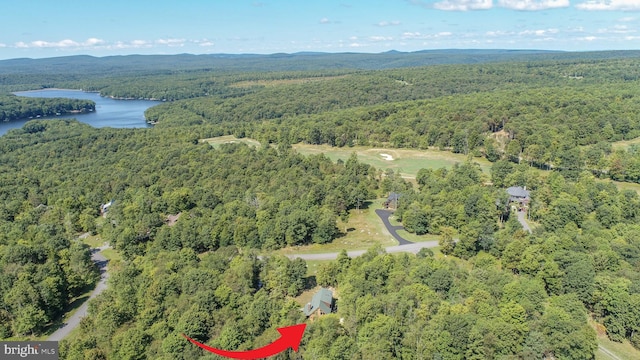 bird's eye view with a forest view and a water view