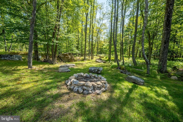 view of yard with a fire pit