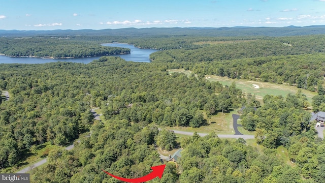 aerial view with a water view and a wooded view