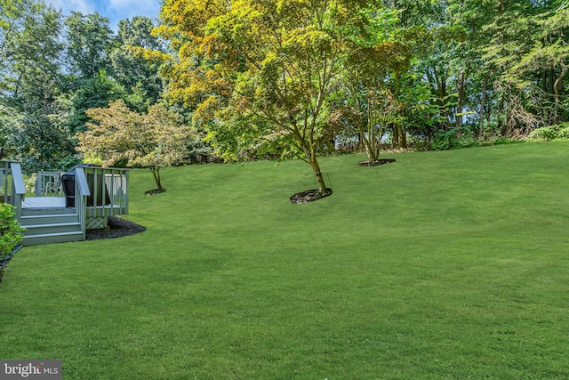 view of yard featuring a wooden deck