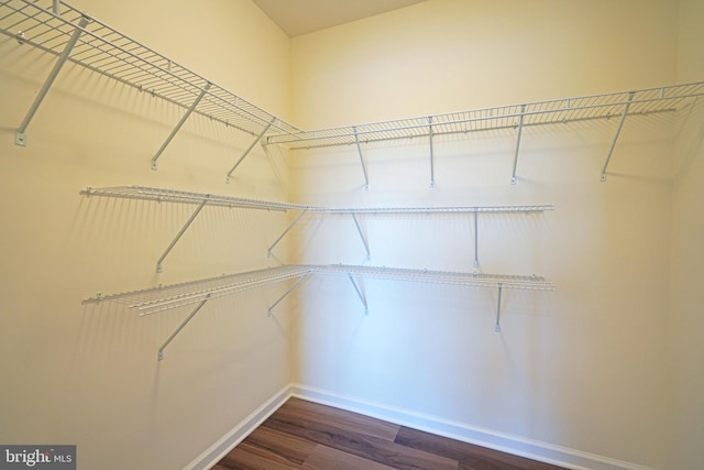 spacious closet with hardwood / wood-style flooring