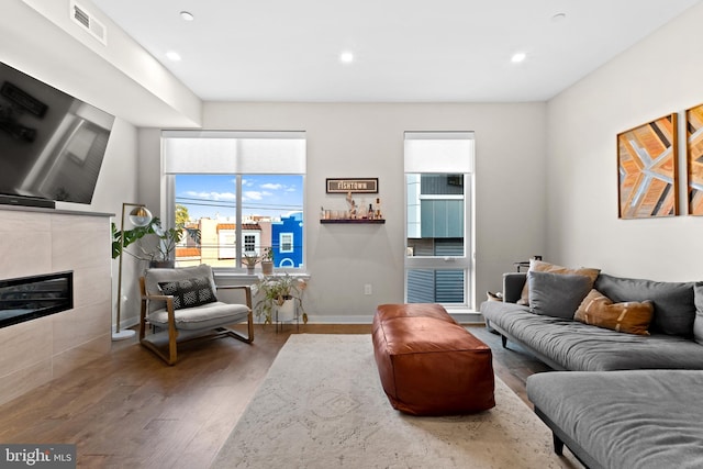 living room featuring a fireplace and wood-type flooring