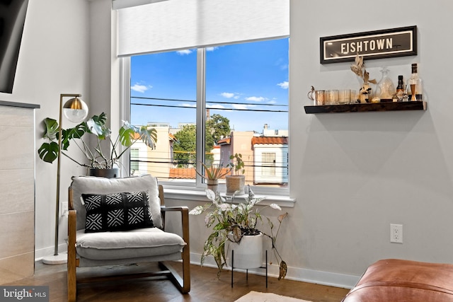 sitting room featuring hardwood / wood-style floors