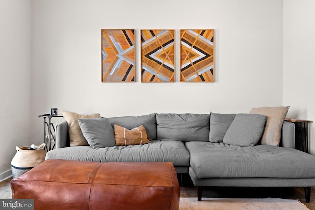 living room featuring light hardwood / wood-style flooring