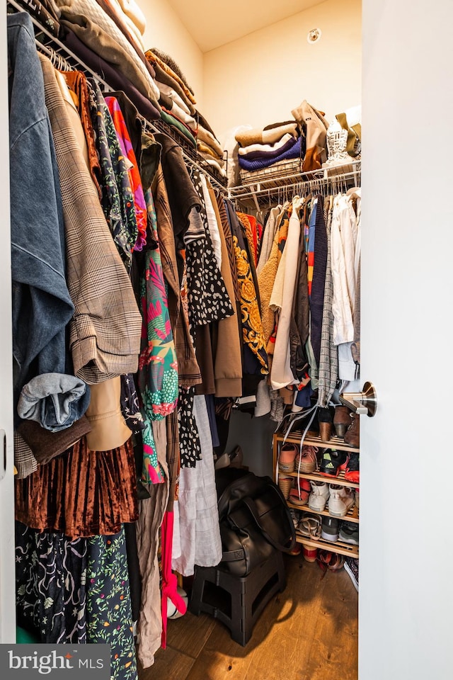 spacious closet featuring wood-type flooring