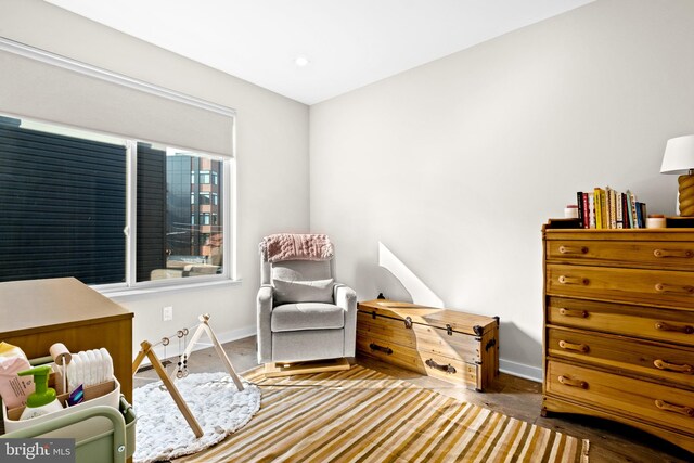 living area with wood-type flooring