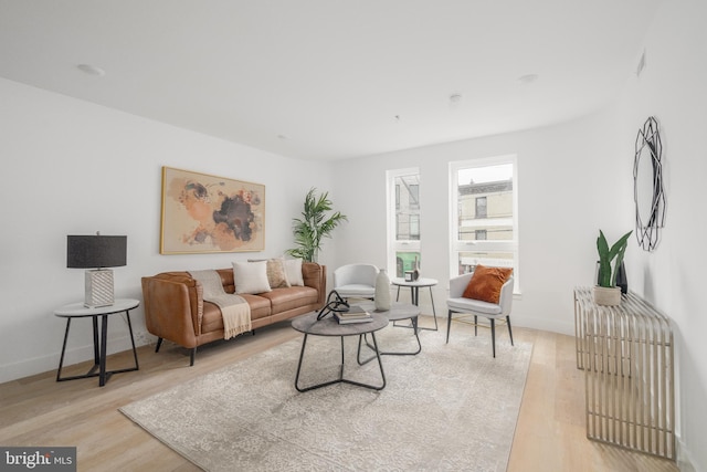 living room featuring light wood-type flooring