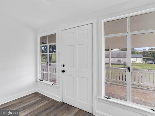 entryway featuring a wealth of natural light, dark wood-style flooring, and baseboards