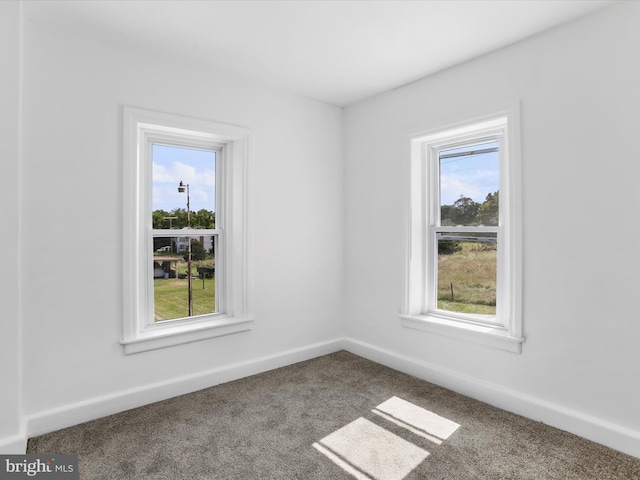 spare room with carpet, a wealth of natural light, and baseboards