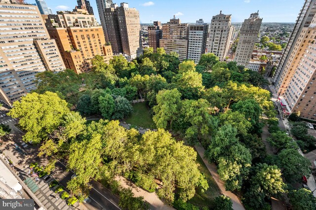 bird's eye view