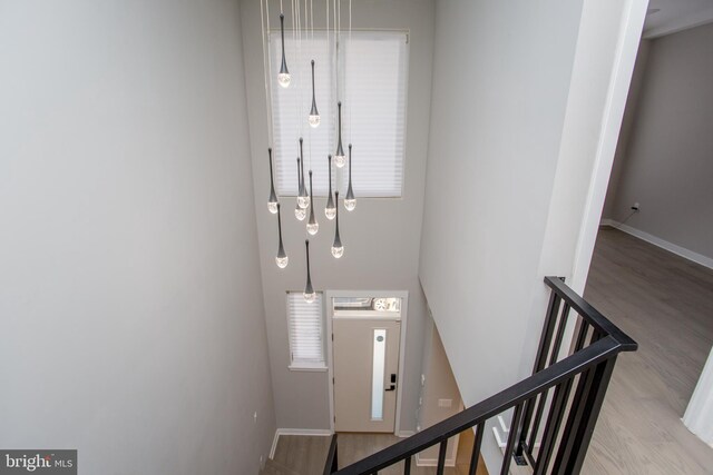 stairway with hardwood / wood-style floors