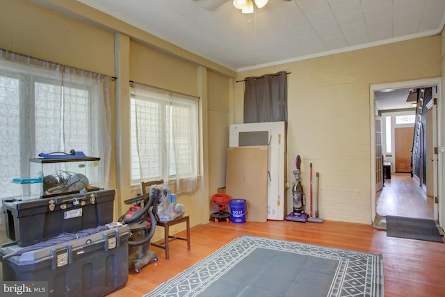 office space with crown molding, plenty of natural light, and wood finished floors