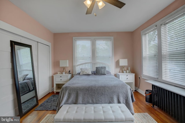 bedroom with radiator, light wood-style flooring, multiple windows, and baseboards