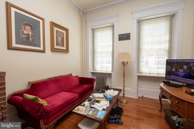 living room with radiator heating unit and a wealth of natural light