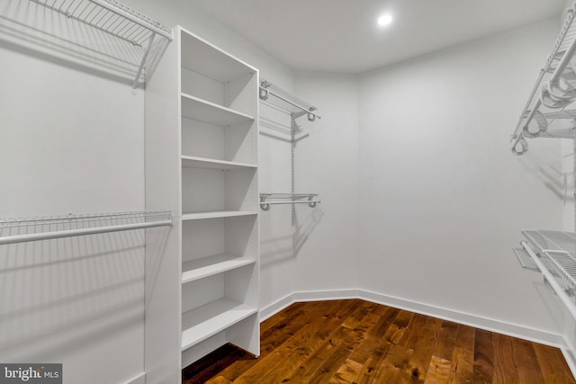 walk in closet with dark hardwood / wood-style flooring