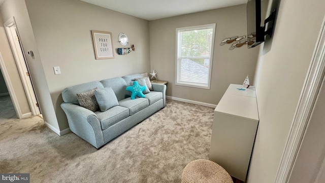 living room featuring light colored carpet